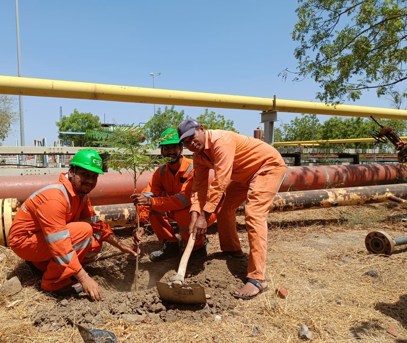 Environment Day Celebrated at Ankleshwar Asset